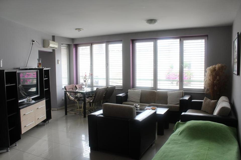 Apartman Natasa 1 Vrsac Extérieur photo